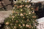 Weihnachten 15